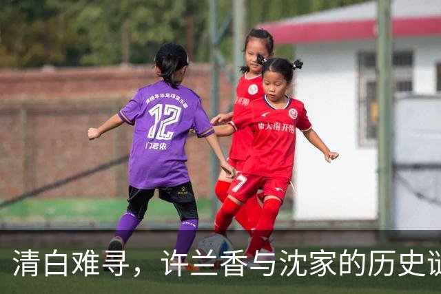 清白难寻，许兰香与沈家的历史谜局
